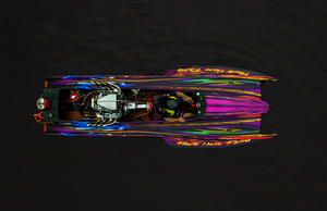 18 x 24 Poster of Purple Haze